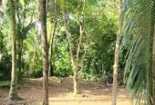 Land with House for Sale – Hikkaduwa