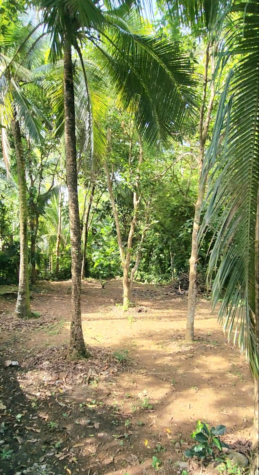 Land with House for Sale – Hikkaduwa