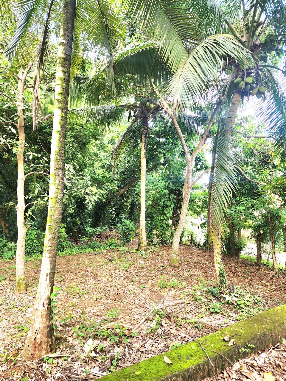Land with House for Sale – Hikkaduwa