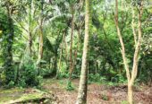 Land with House for Sale – Hikkaduwa