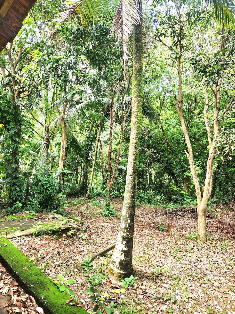 Land with House for Sale – Hikkaduwa