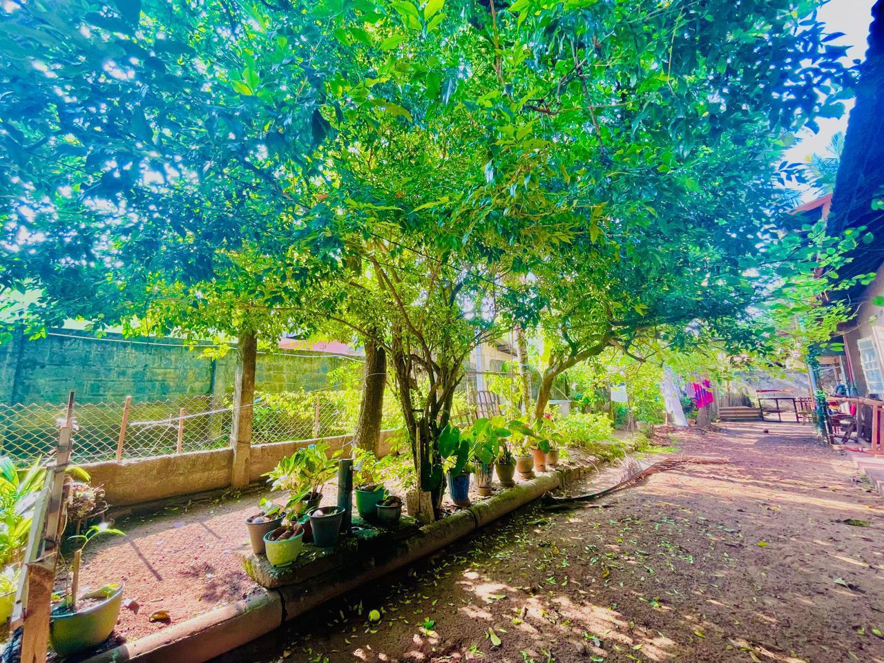 House with Two Annexes for Sale in Moratuwa Molpe