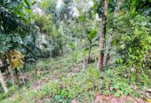 Land for Sale රඹුක්කන