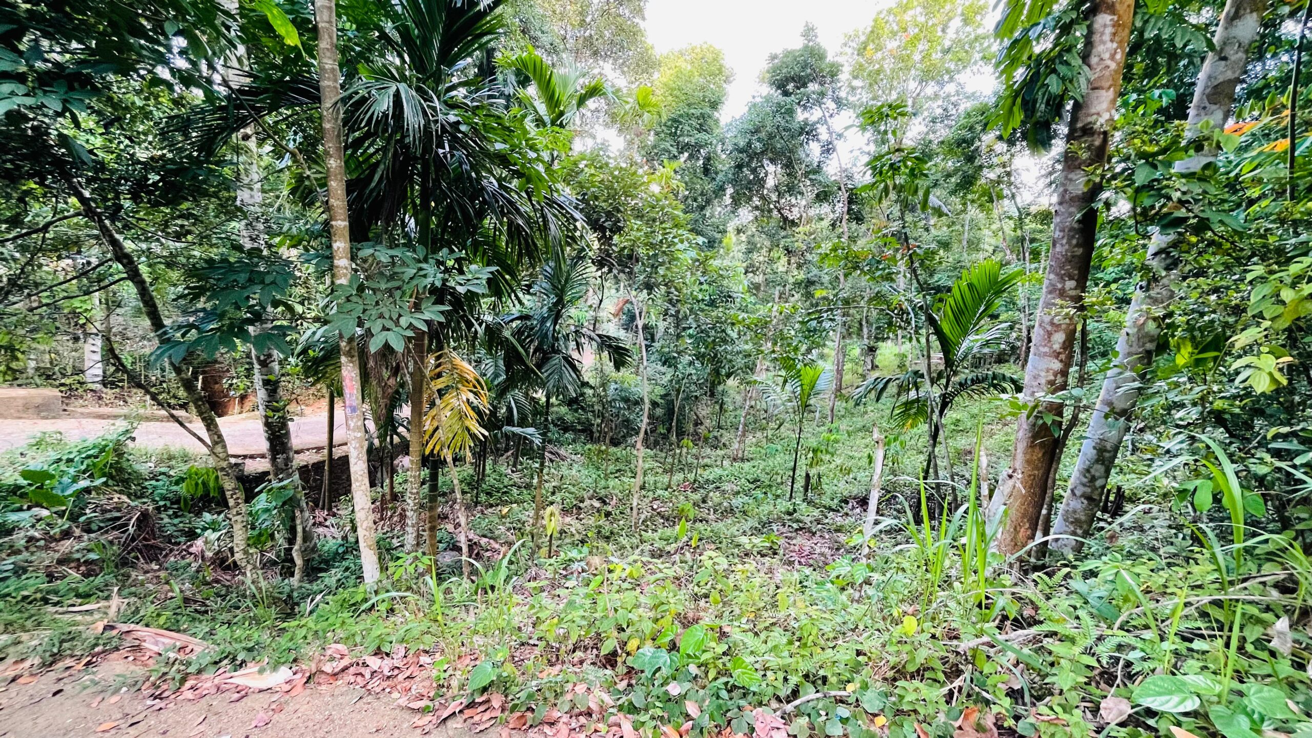 Land for Sale රඹුක්කන