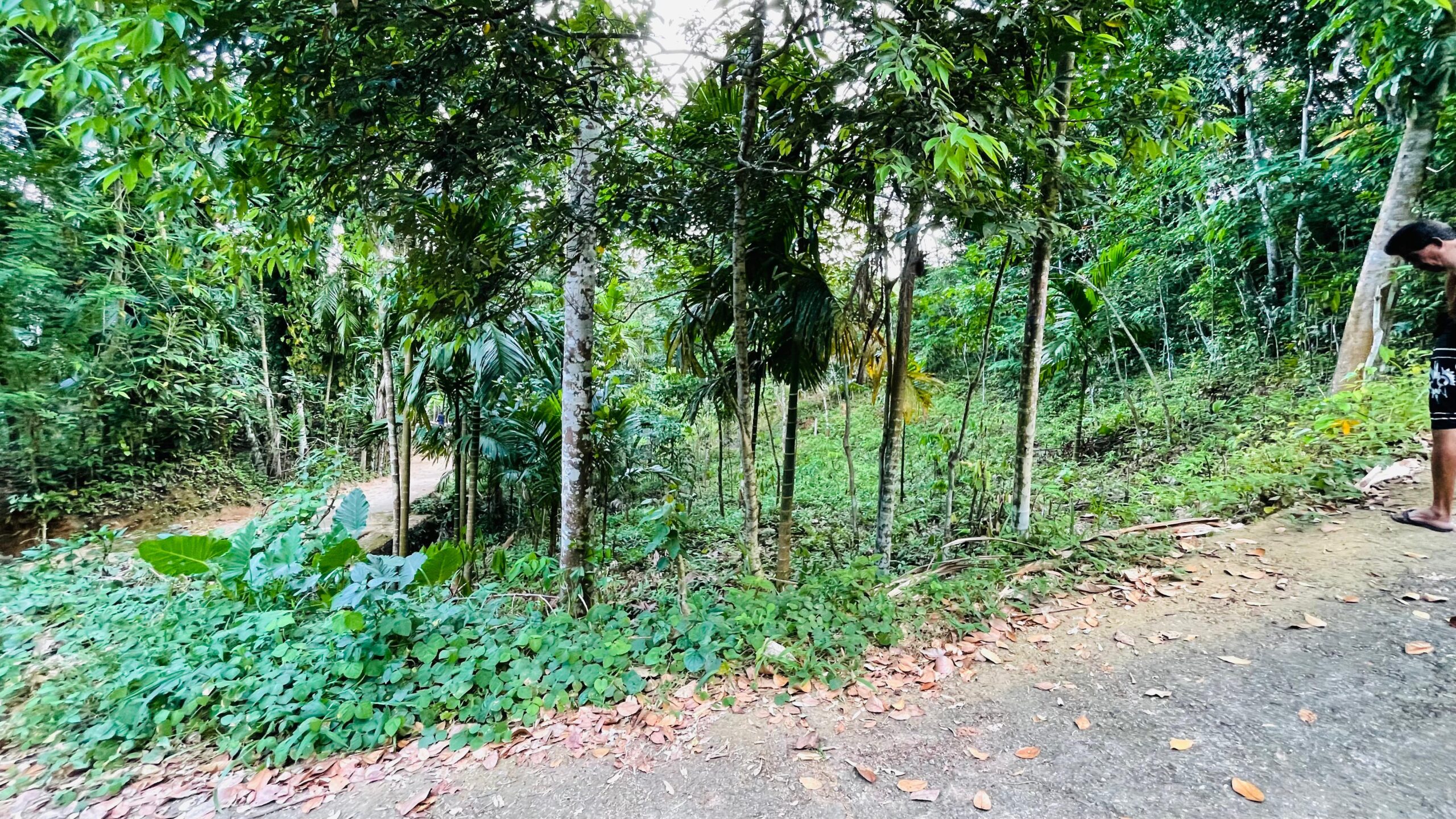 Land for Sale රඹුක්කන