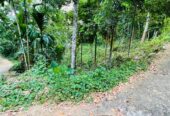 Land for Sale රඹුක්කන