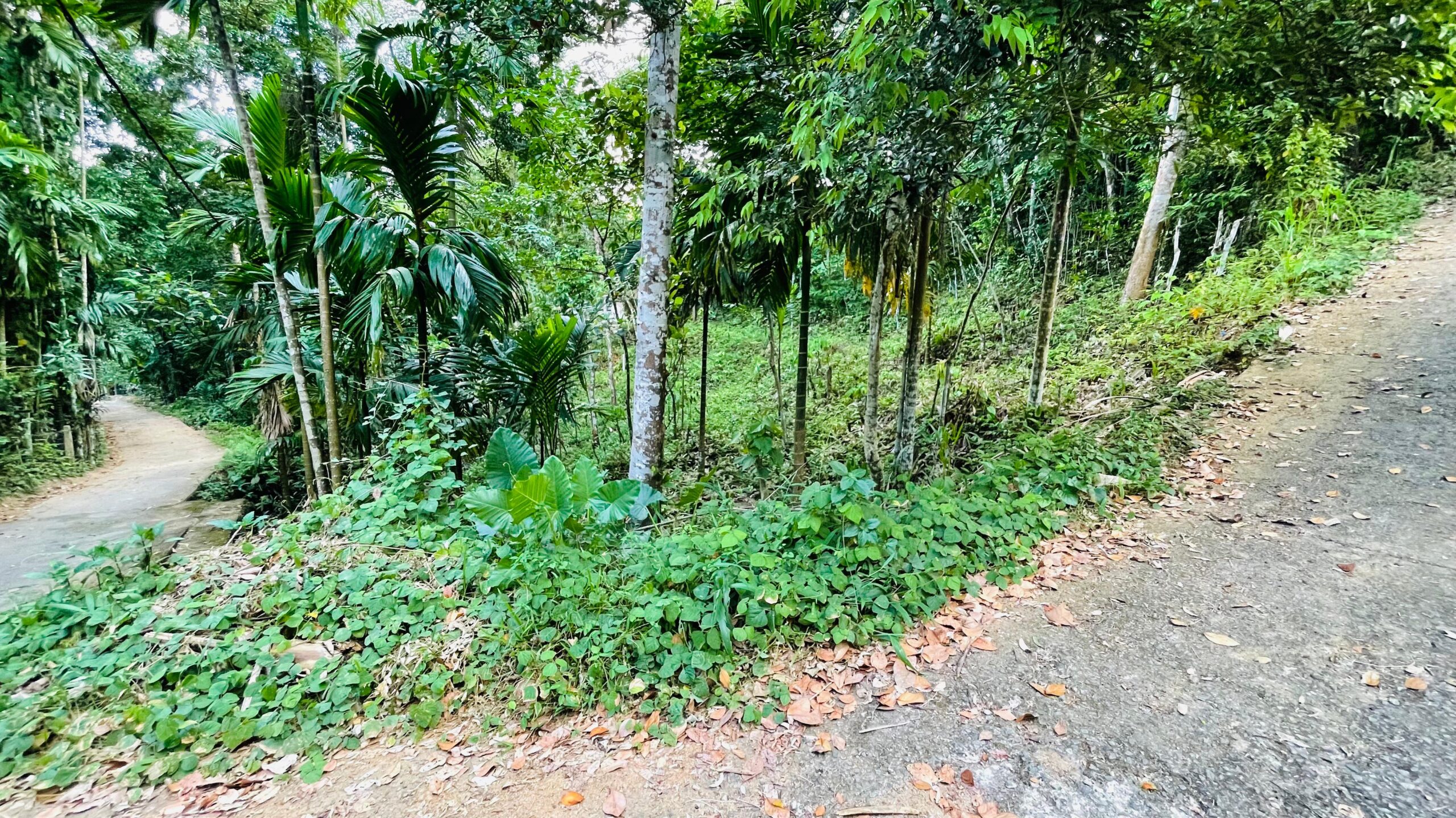 Land for Sale රඹුක්කන