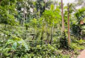 Land for Sale රඹුක්කන