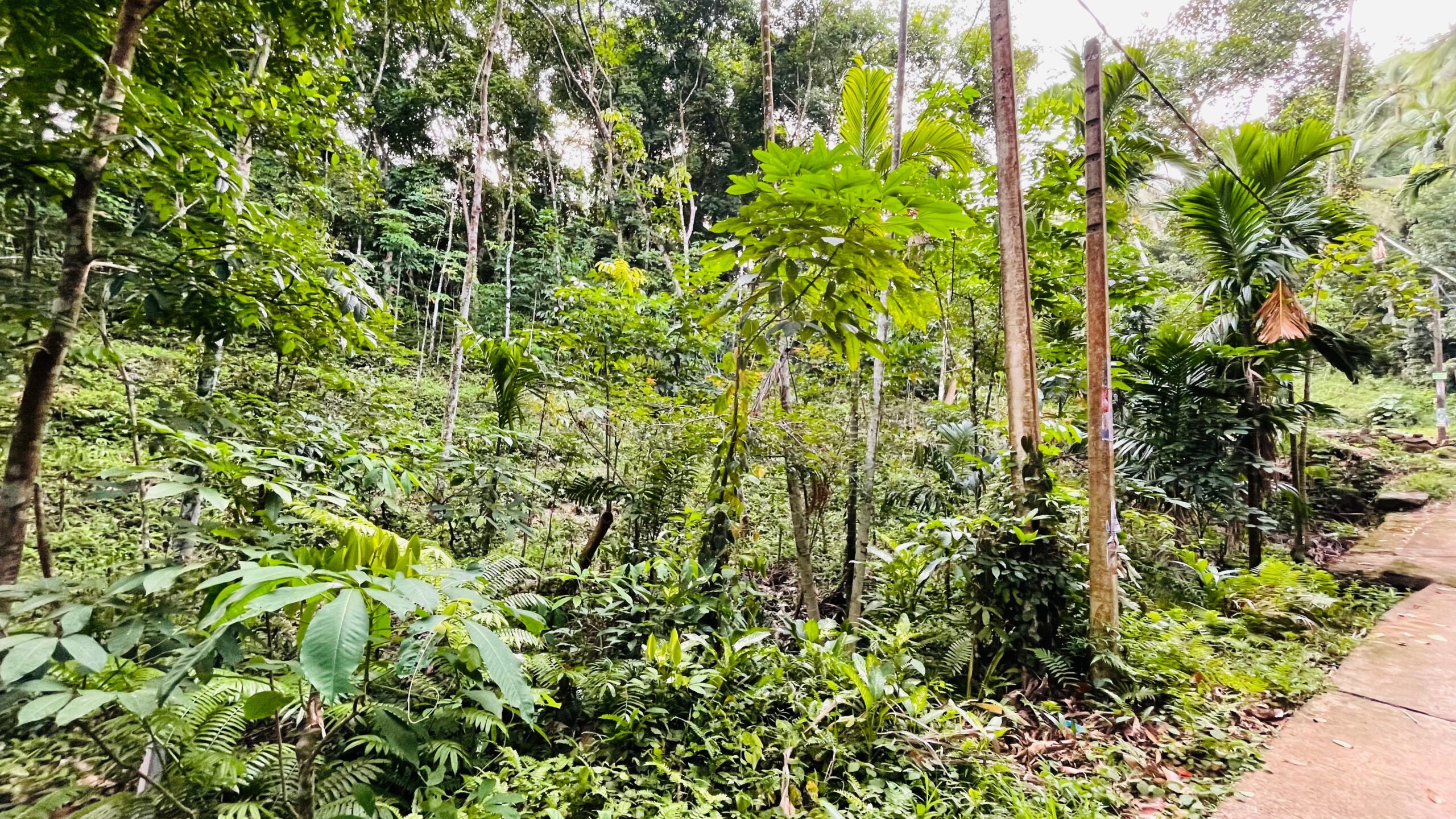 Land for Sale රඹුක්කන