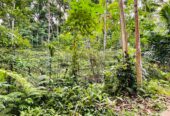 Land for Sale රඹුක්කන