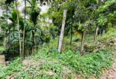 Land for Sale රඹුක්කන