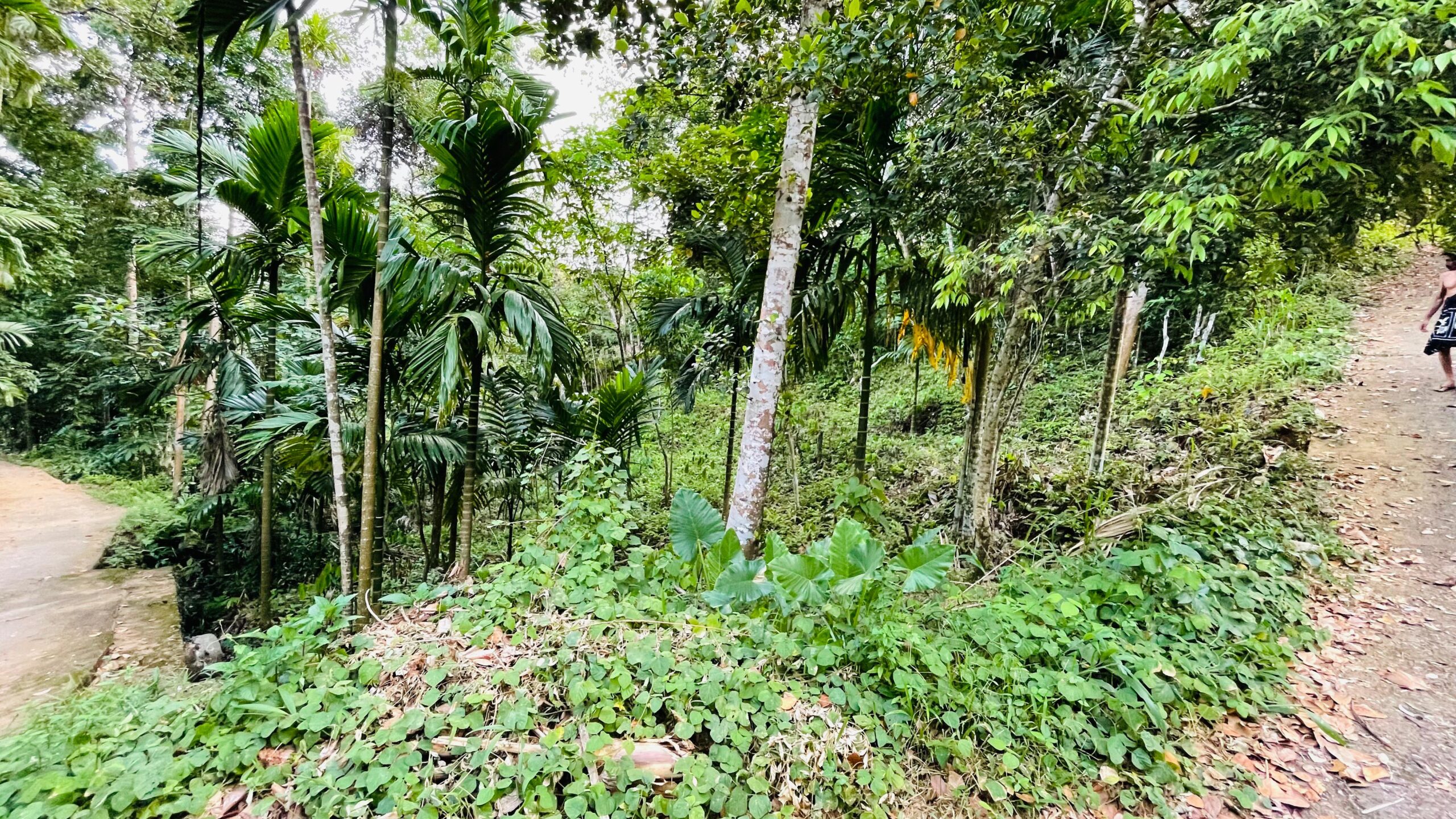 Land for Sale රඹුක්කන