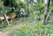 Land for Sale රඹුක්කන