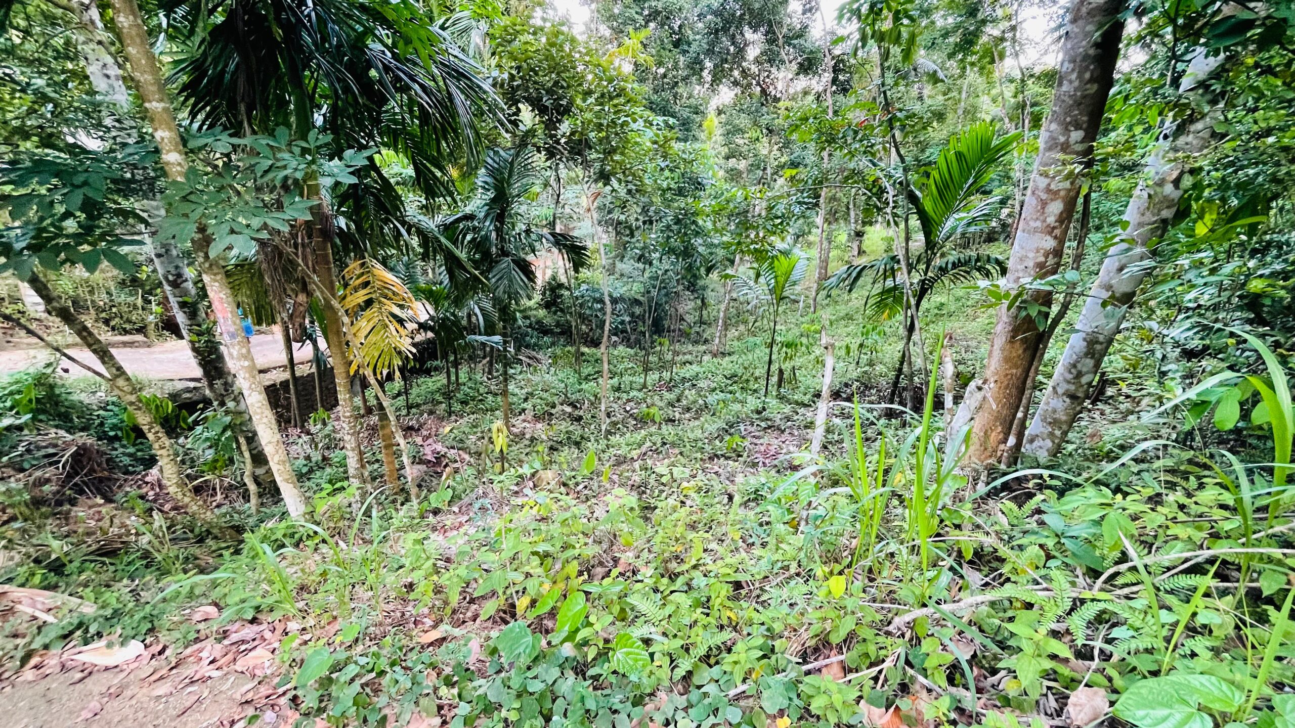 Land for Sale රඹුක්කන