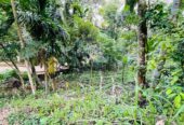Land for Sale රඹුක්කන