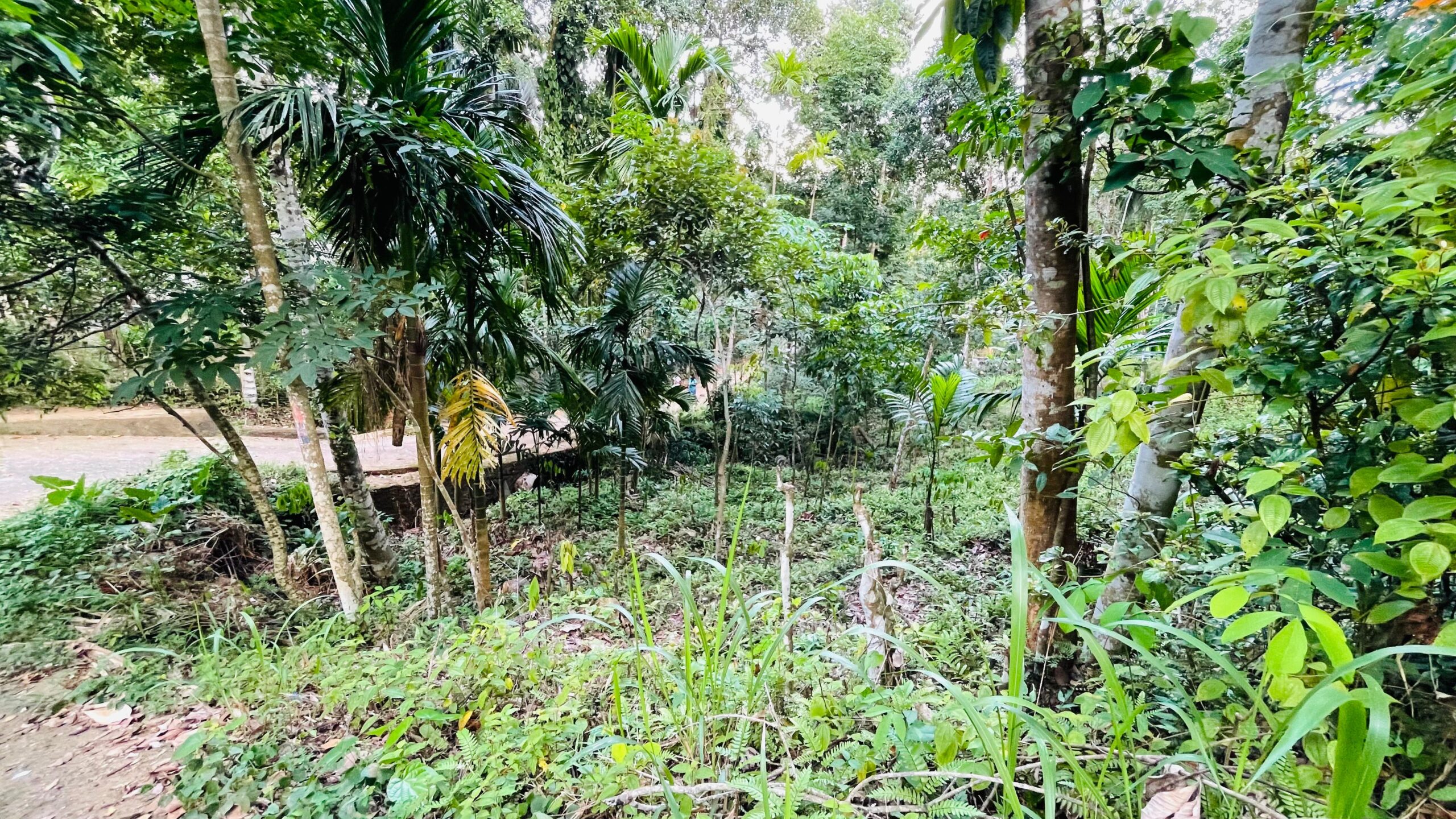 Land for Sale රඹුක්කන