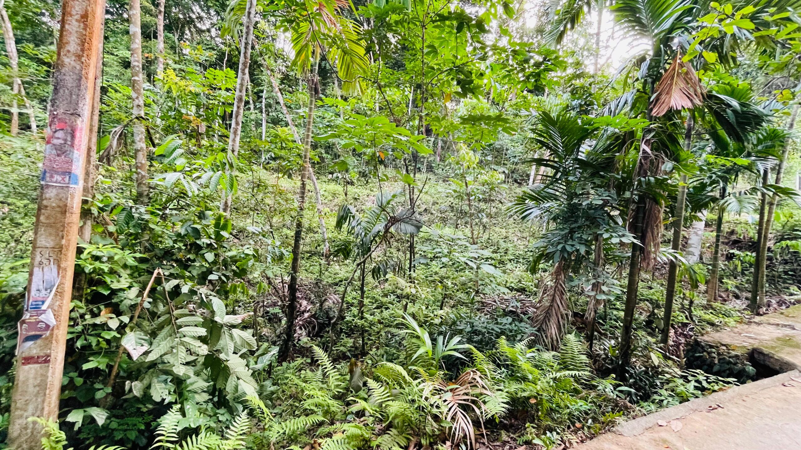 Land for Sale රඹුක්කන