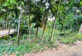 Land for Sale රඹුක්කන