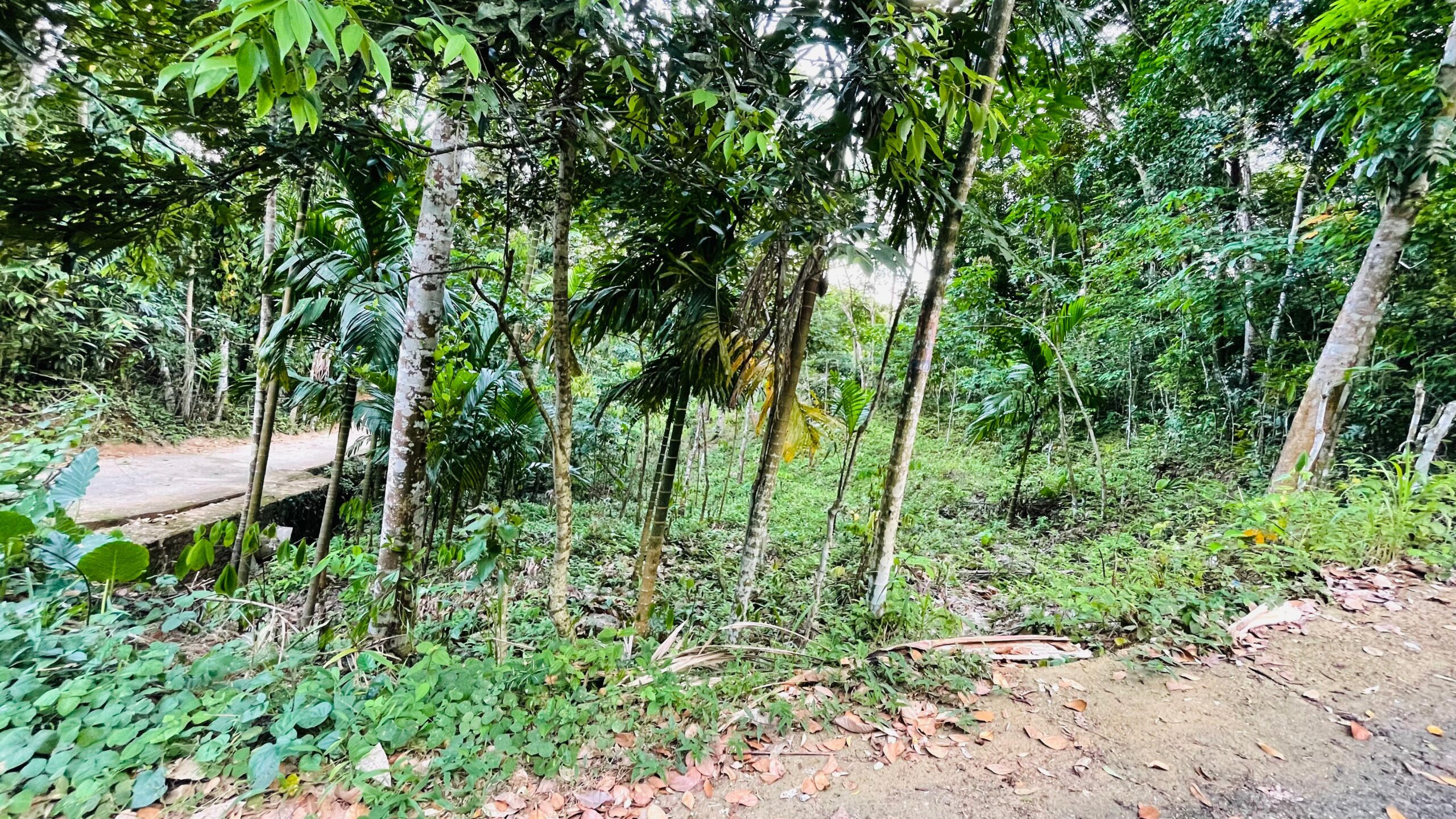 Land for Sale රඹුක්කන