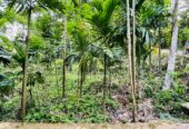 Land for Sale රඹුක්කන