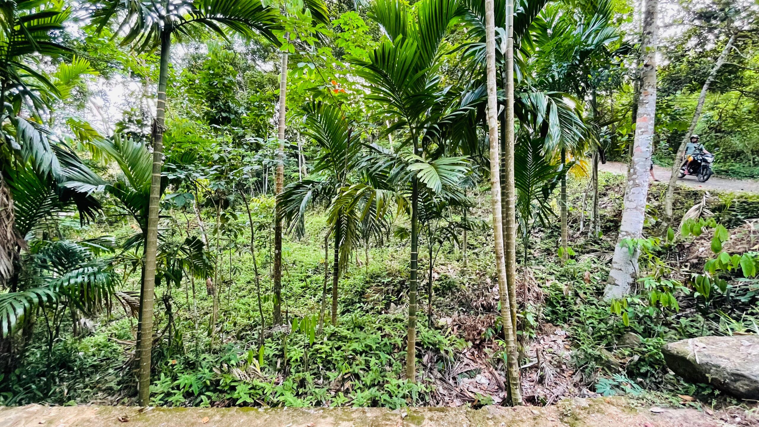 Land for Sale රඹුක්කන