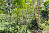 Land for Sale රඹුක්කන