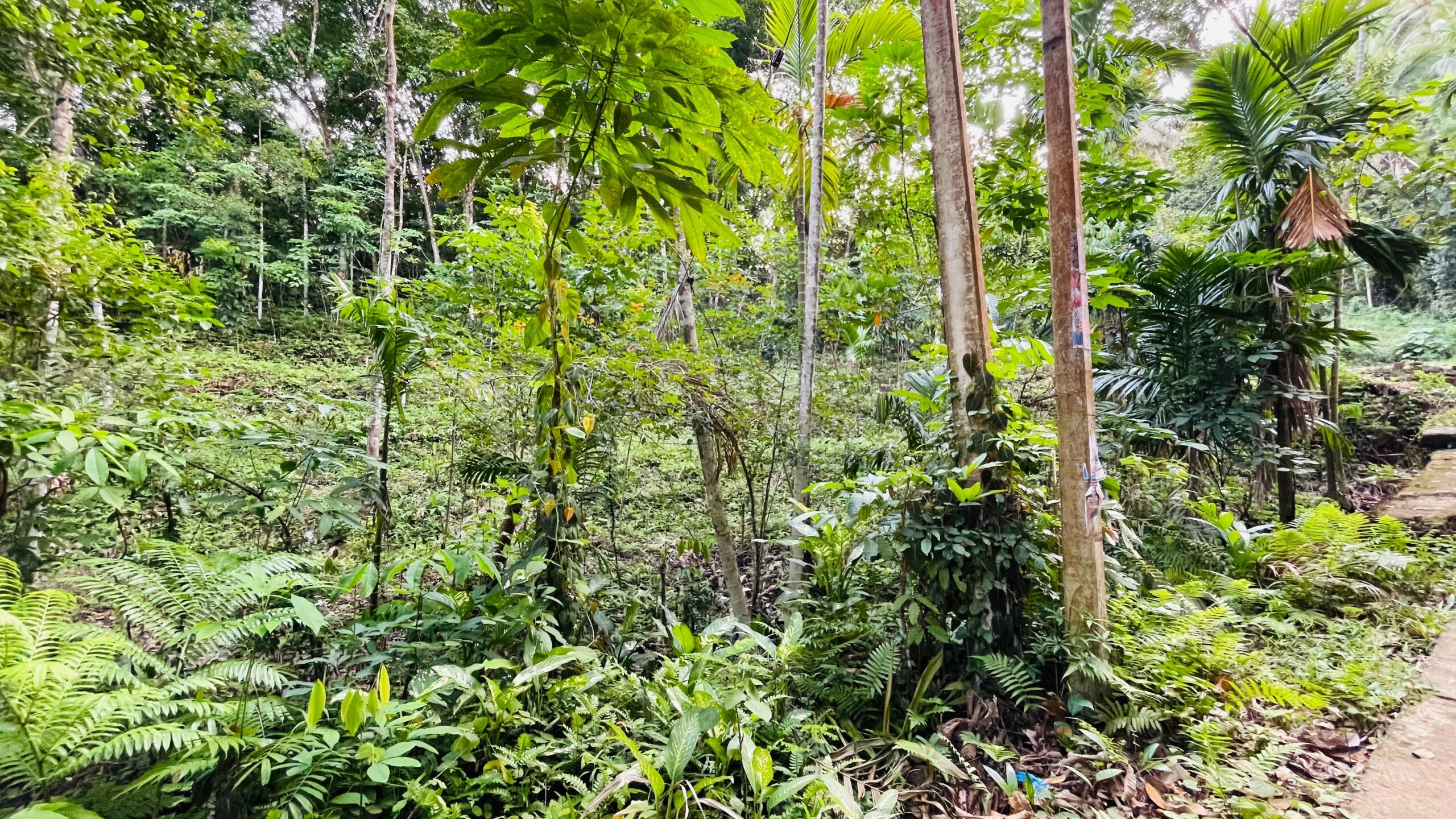 Land for Sale රඹුක්කන