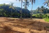 Land For Sale In Kadawatha