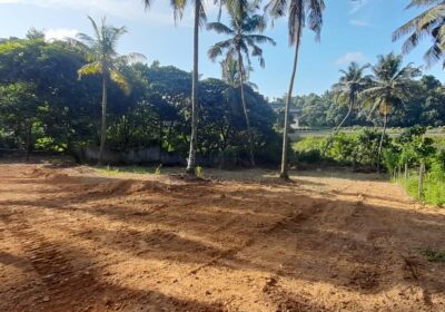 Land For Sale In Kadawatha