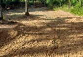Land For Sale In Kadawatha