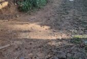 Land For Sale In Kadawatha