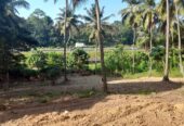 Land For Sale In Kadawatha