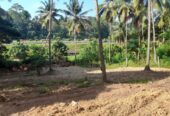 Land For Sale In Kadawatha
