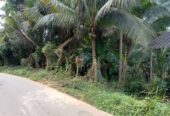 මහපල්ලේගම ව්‍යාපාරික ඉඩමක් විකිණීමට