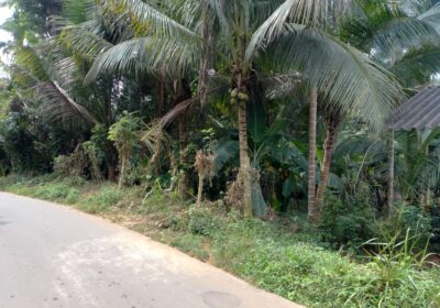 මහපල්ලේගම ව්‍යාපාරික ඉඩමක් විකිණීමට