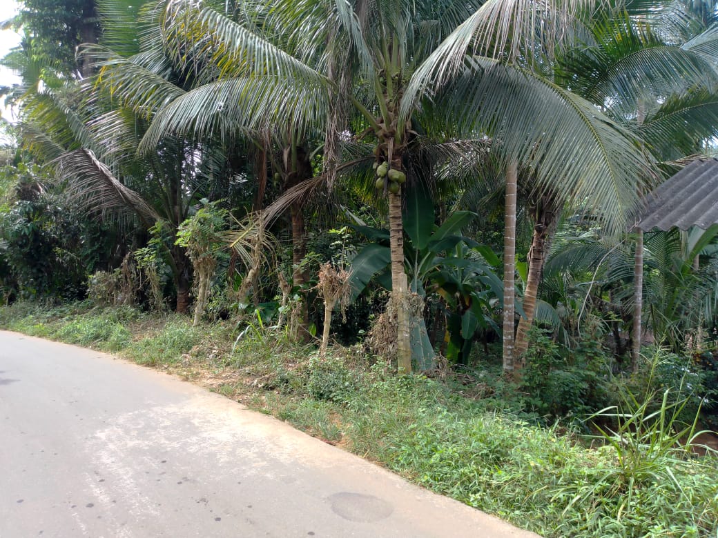 මහපල්ලේගම ව්‍යාපාරික ඉඩමක් විකිණීමට