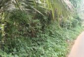 මහපල්ලේගම ව්‍යාපාරික ඉඩමක් විකිණීමට