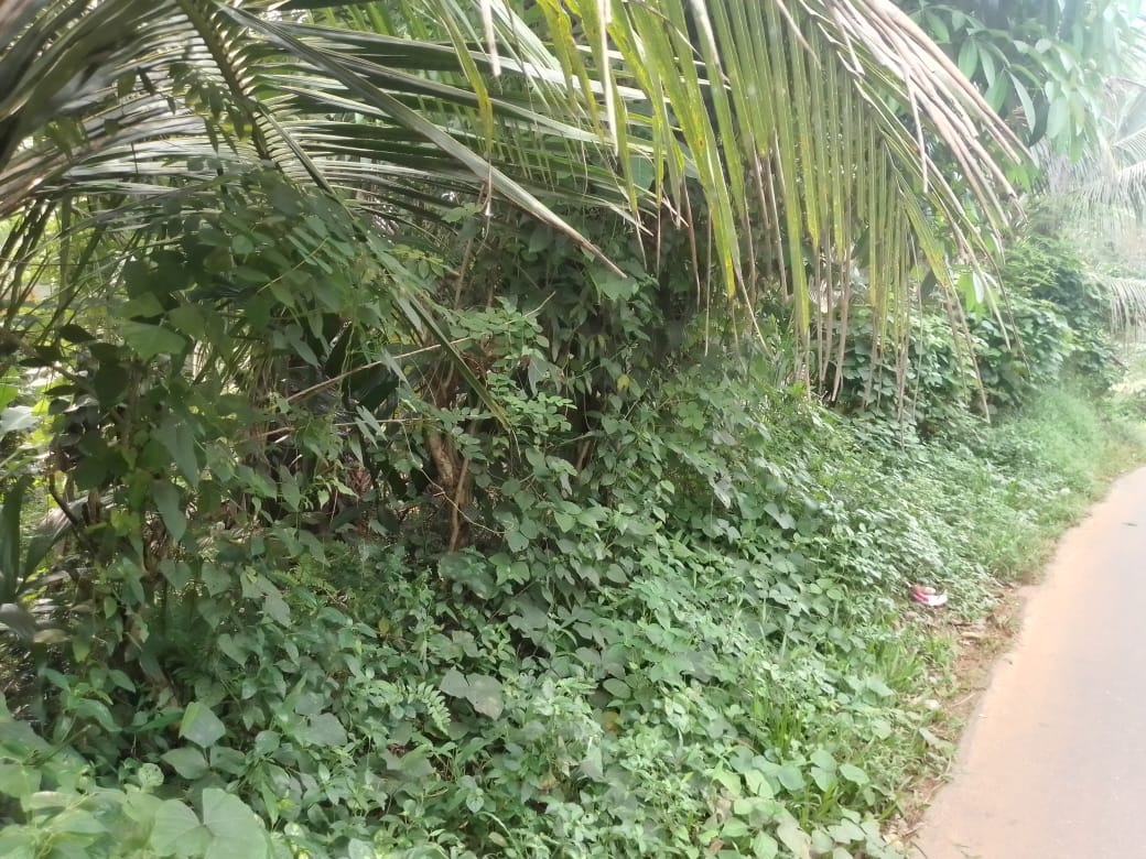 මහපල්ලේගම ව්‍යාපාරික ඉඩමක් විකිණීමට