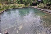 🌿 Holiday Villa for Sale in Elpitiya – Pitigala – Bambarawana