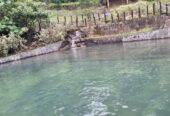 🌿 Holiday Villa for Sale in Elpitiya – Pitigala – Bambarawana