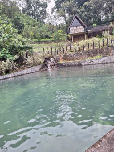 🌿 Holiday Villa for Sale in Elpitiya – Pitigala – Bambarawana