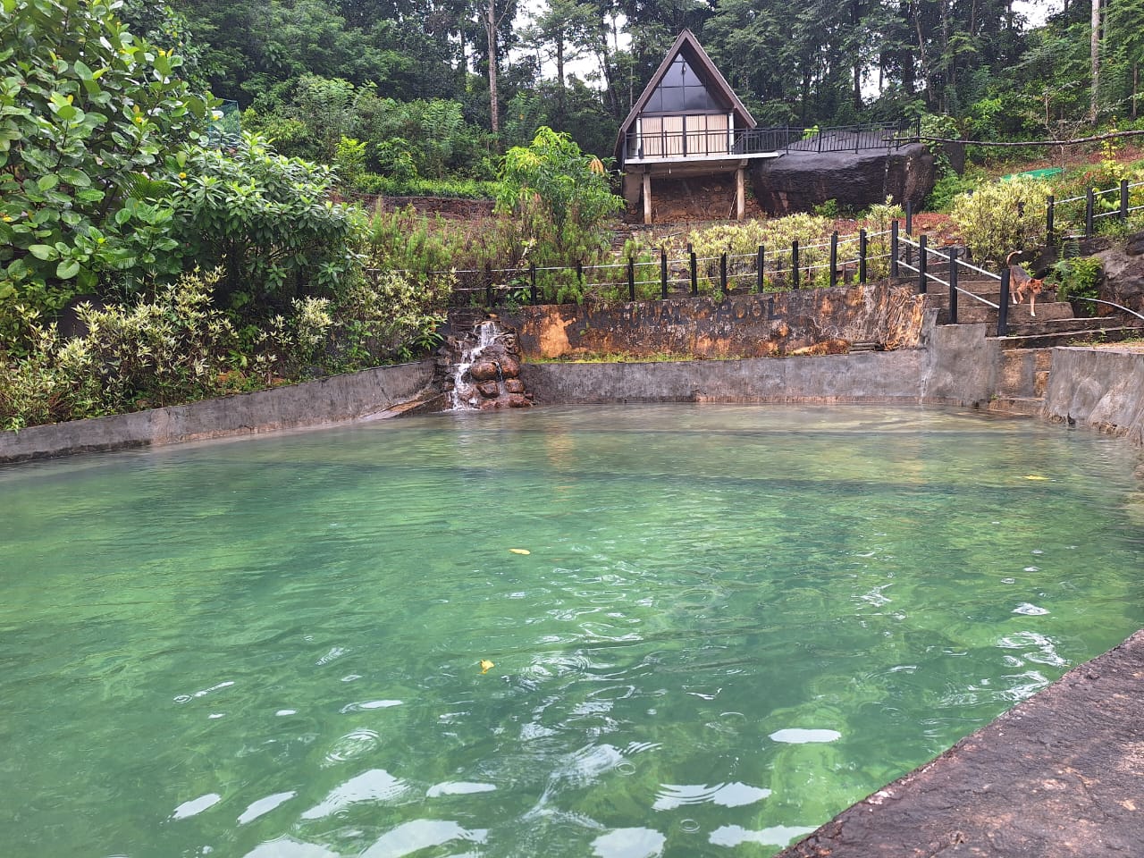 🌿 Holiday Villa for Sale in Elpitiya – Pitigala – Bambarawana