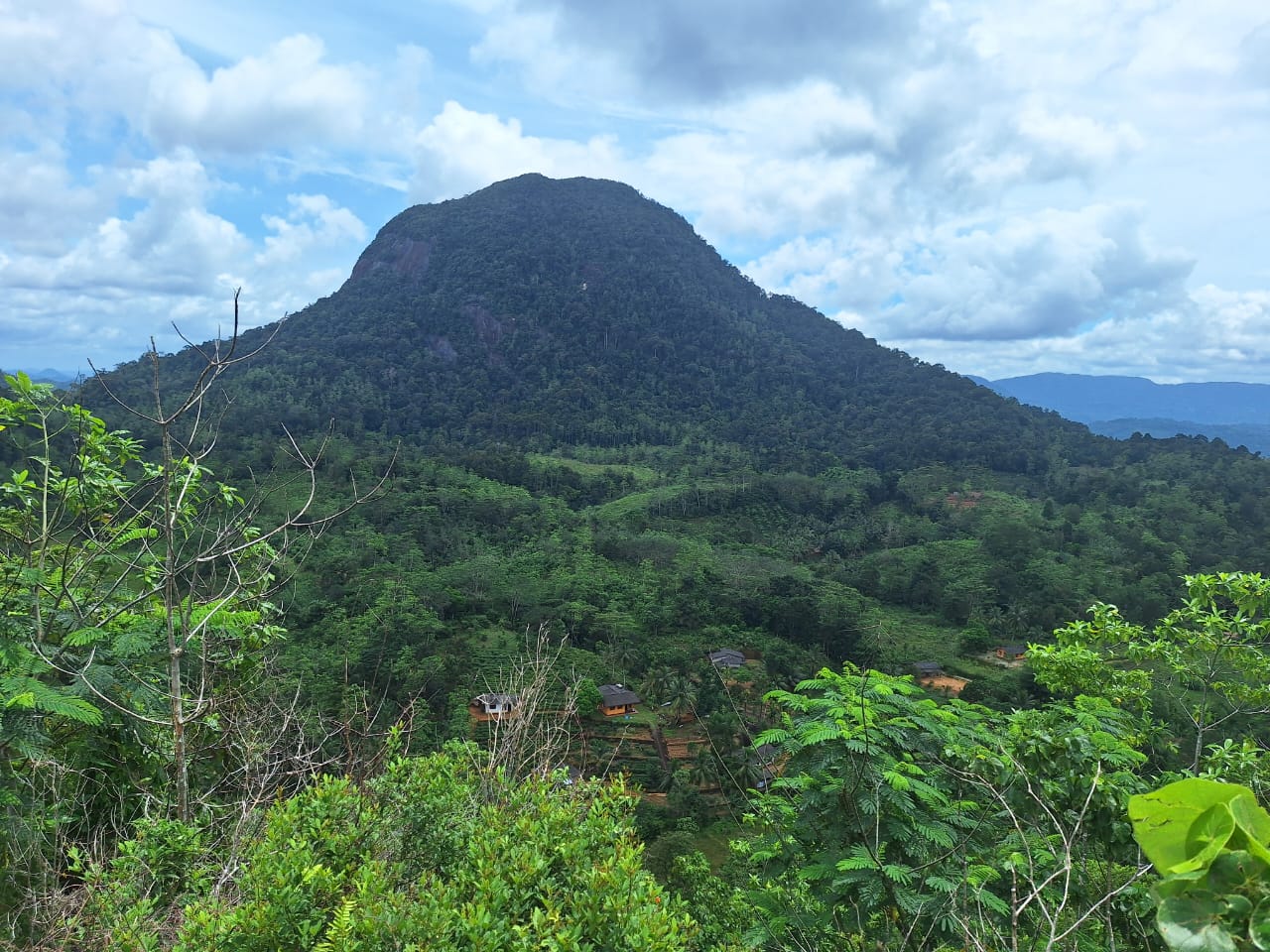 🌿 Holiday Villa for Sale in Elpitiya – Pitigala – Bambarawana