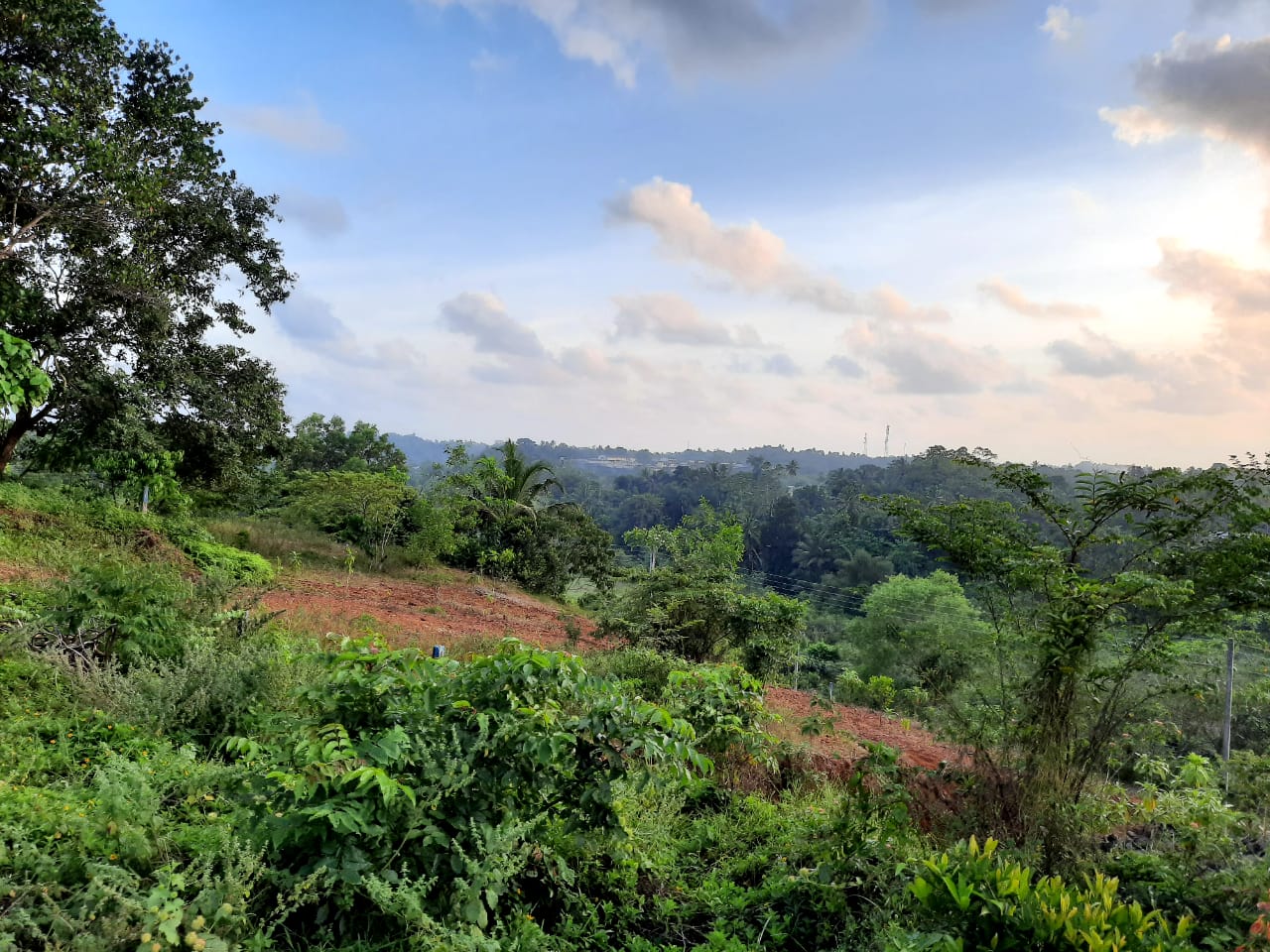 Land for Sale in Kalutara