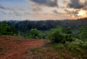 Land for Sale in Kalutara