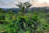 Land for Sale in Kalutara