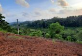 Land for Sale in Kalutara