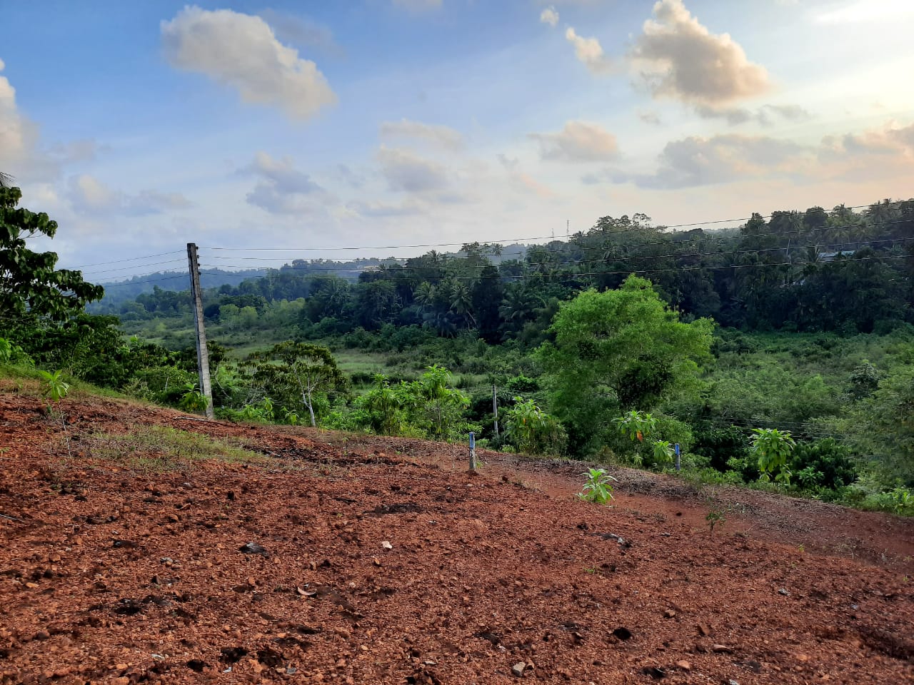 Land for Sale in Kalutara