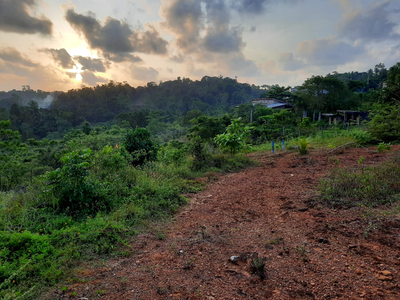 Land for Sale in Kalutara