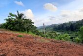 Land for Sale in Kalutara